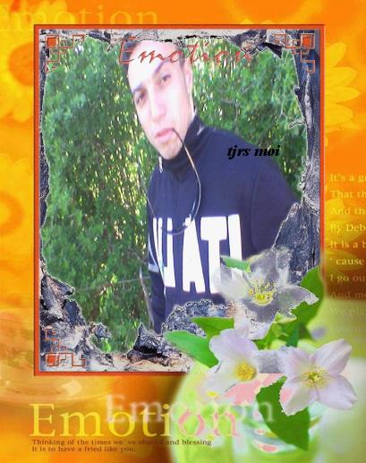 Tigre
