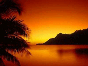 ~~mon  soleil~~