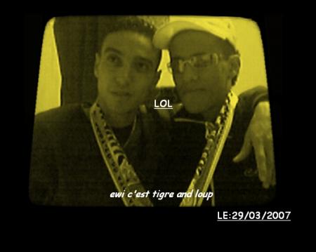 tigre and loup