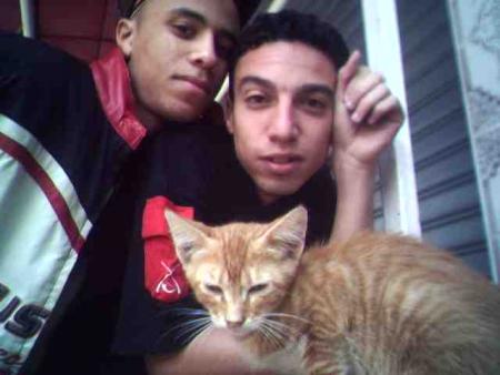  nous ac le chat