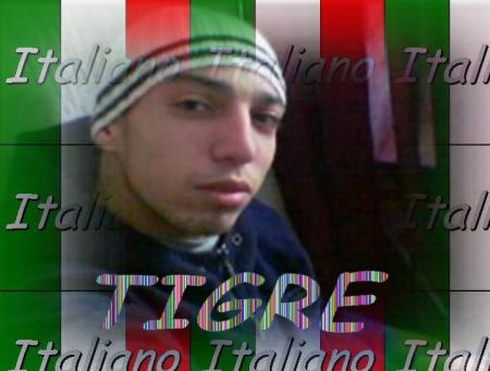 0TIGRE0