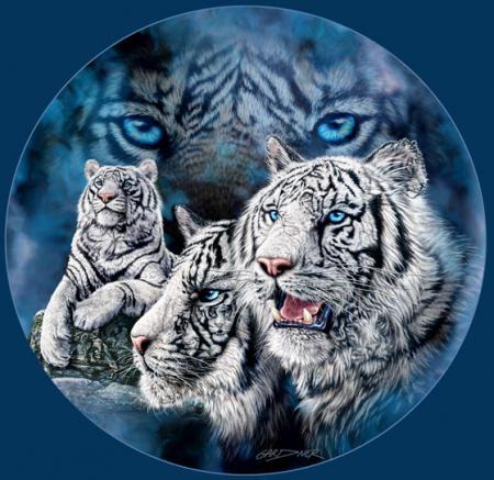 0TIGRE0