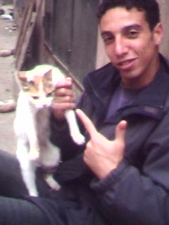 tigre