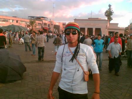 tigre