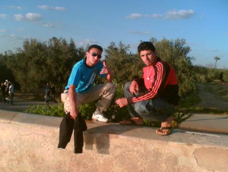 tigre