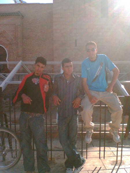 tigre