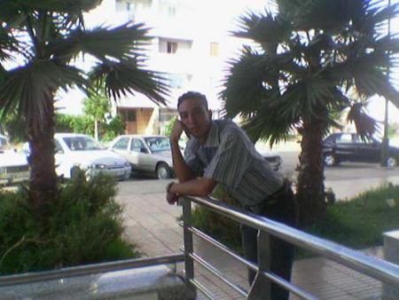tigre