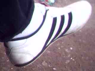 0003ponde de tigre000