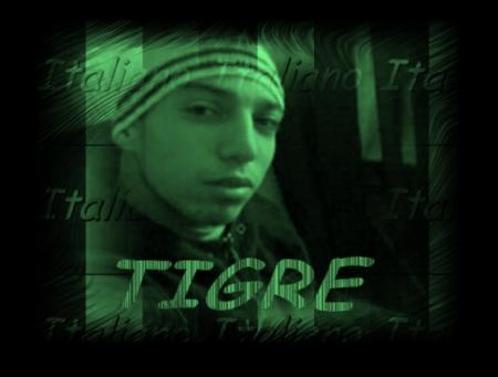 0tigre0