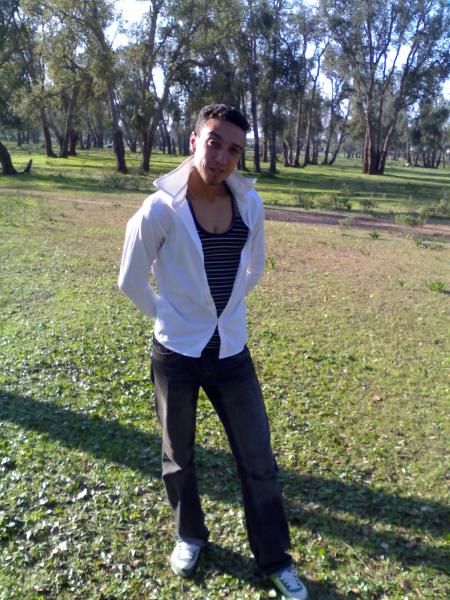 tigre