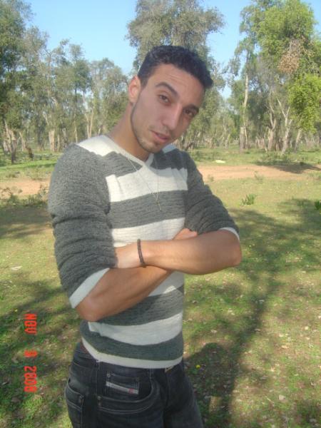 tigre