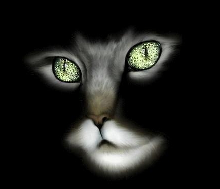 ~~belle yeux~~