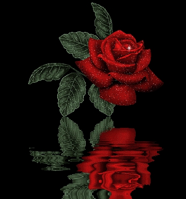 ~~belle rose~~