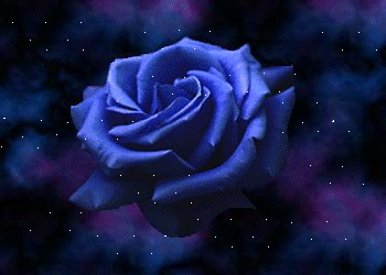 ~~belle rose~~